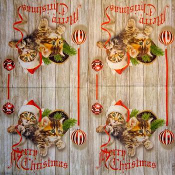 KAT-952 Cats - 3-ply - Ambiente - Merry Christmas - CS